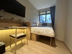 Mount Elizabeth Link (D9), Apartment #475553521